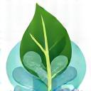 Leaf and soap bubble icon.